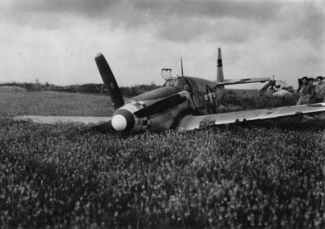 339th Fighter Group | American Air Museum