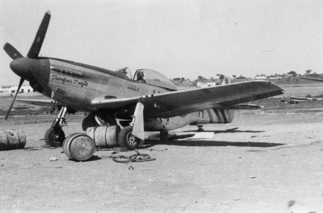 31st Fighter Group | American Air Museum